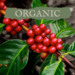 USDA Organic Coffee